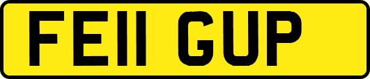 FE11GUP