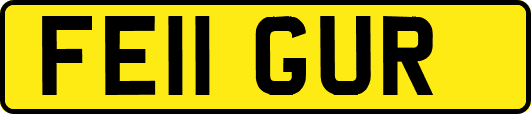 FE11GUR