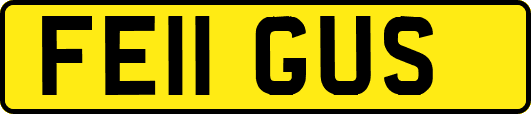 FE11GUS
