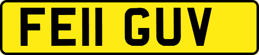 FE11GUV