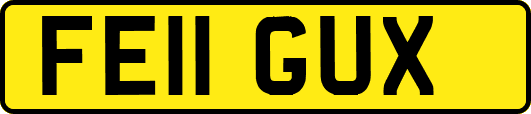 FE11GUX