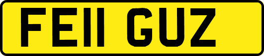 FE11GUZ