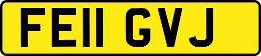 FE11GVJ
