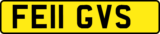 FE11GVS