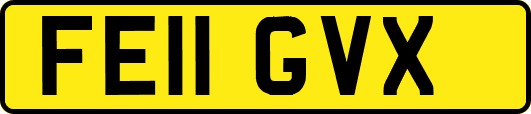 FE11GVX