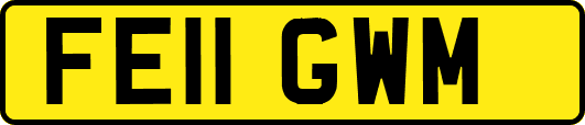 FE11GWM