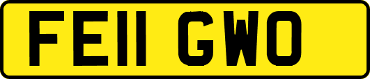 FE11GWO