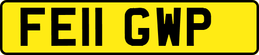 FE11GWP