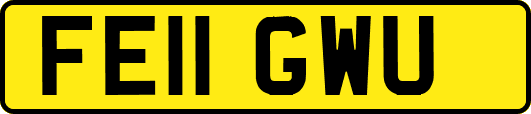 FE11GWU