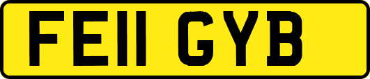 FE11GYB