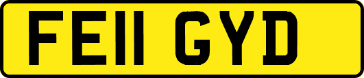FE11GYD