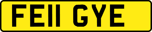 FE11GYE
