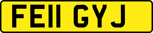 FE11GYJ
