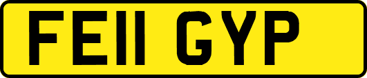 FE11GYP