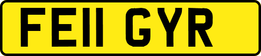 FE11GYR