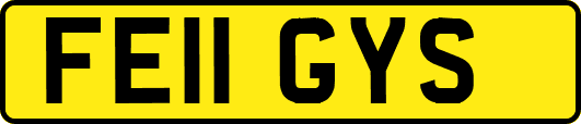FE11GYS