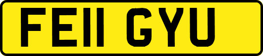 FE11GYU