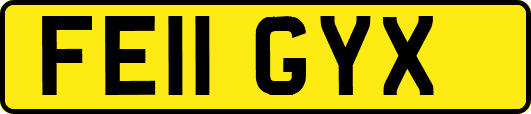 FE11GYX