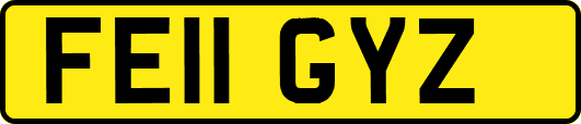 FE11GYZ