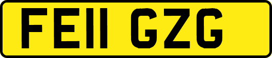FE11GZG