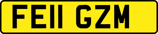 FE11GZM