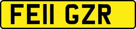 FE11GZR