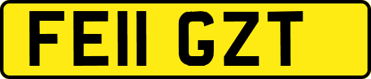 FE11GZT