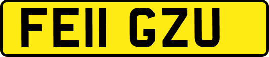 FE11GZU