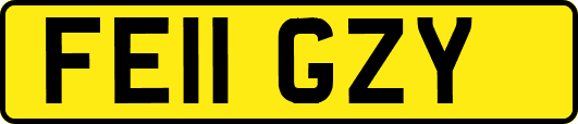 FE11GZY