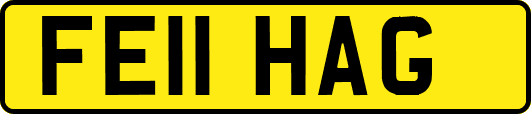 FE11HAG
