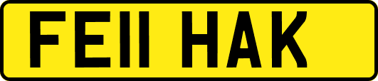 FE11HAK