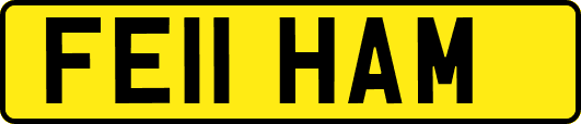 FE11HAM