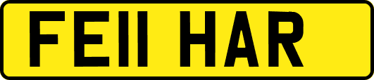 FE11HAR