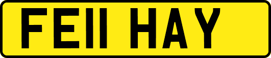 FE11HAY