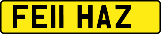 FE11HAZ
