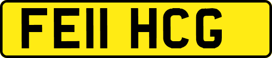 FE11HCG