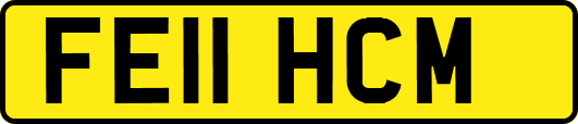 FE11HCM