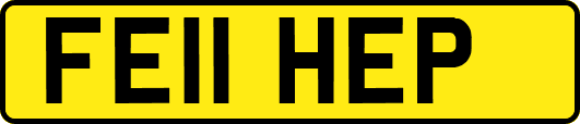 FE11HEP