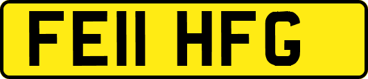 FE11HFG
