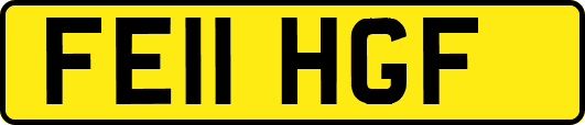 FE11HGF