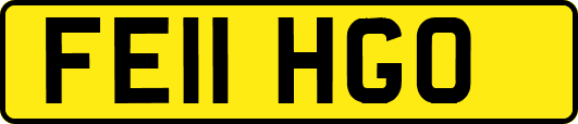 FE11HGO
