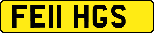 FE11HGS