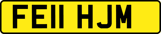 FE11HJM