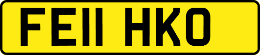 FE11HKO
