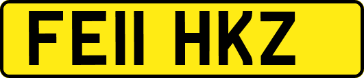 FE11HKZ