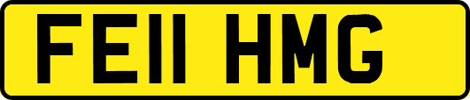 FE11HMG