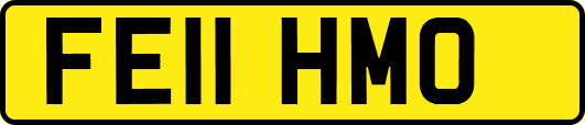 FE11HMO