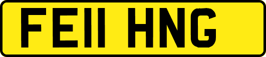 FE11HNG