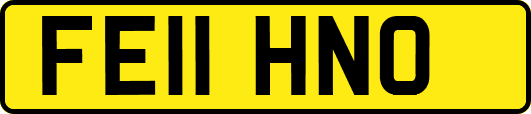 FE11HNO