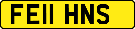 FE11HNS